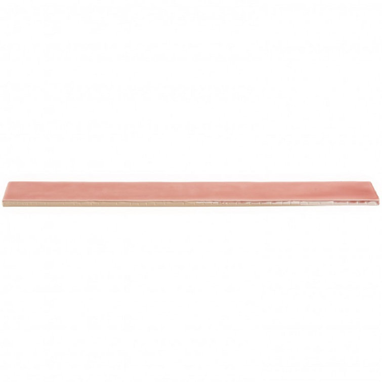 Charlotte Polished Pink Ceramic Subway Wall Tile 2" x 20"