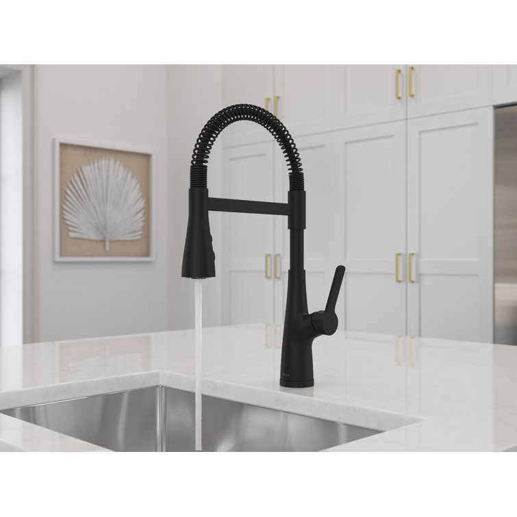 Matte Black Pull-Down Spray Kitchen Faucet