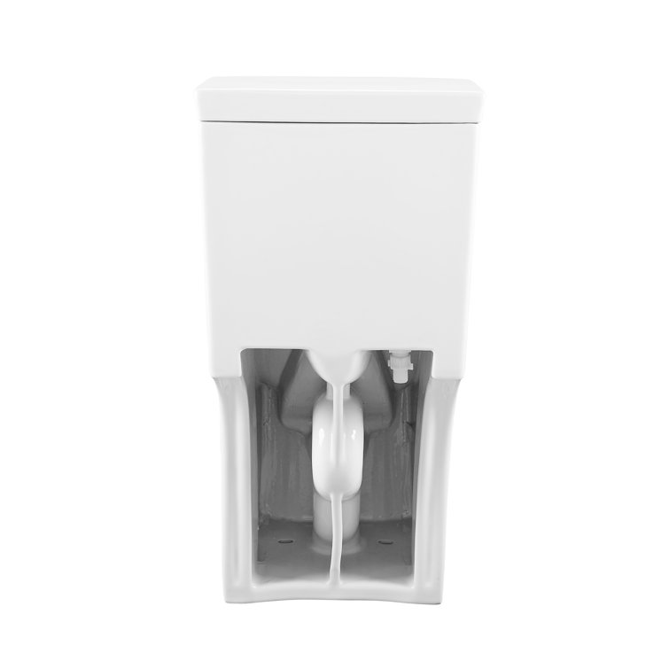 Glossy White Elongated Dual Flush One-Piece Toilet