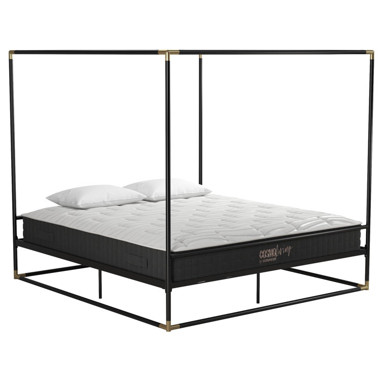 Black Metal Queen Canopy Bed with Gold Accents