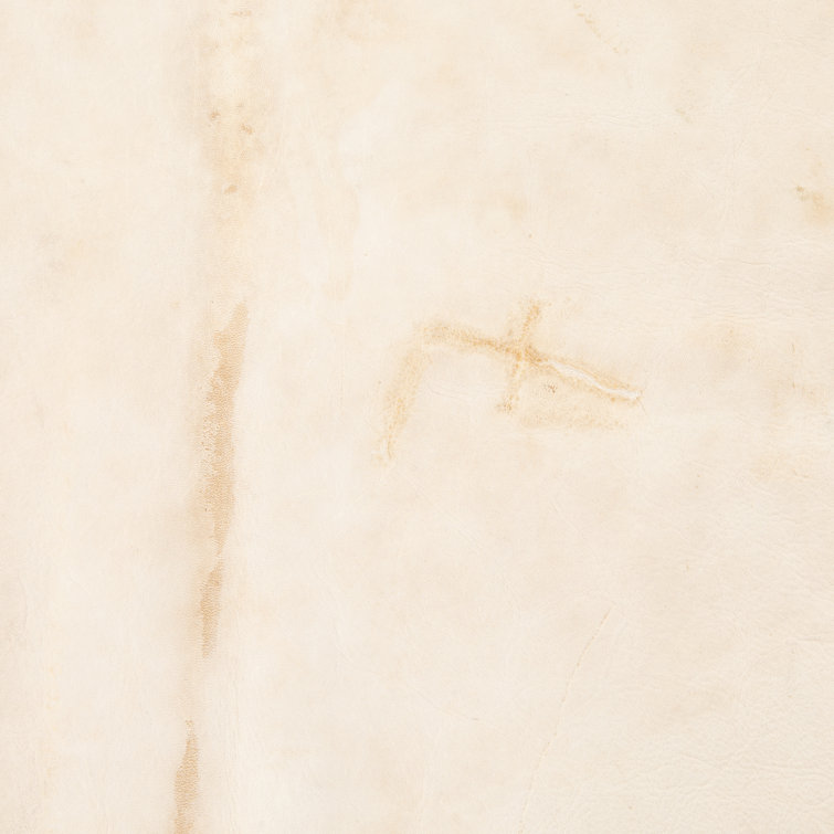 Contemporary Mateo Cowhide Rug in Natural Brown 5' x 7'