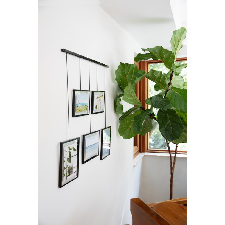 Exhibit Ledge Black Metal 5-Picture Frame Set for Modern Wall Display