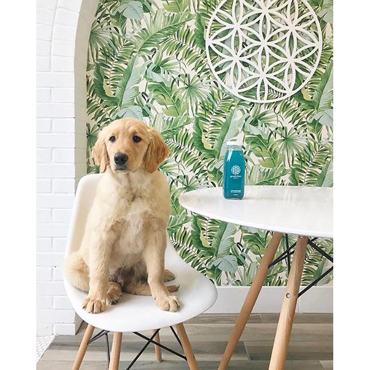 Alfresco Green Palm Leaf Non-Pasted Washable Wallpaper Roll