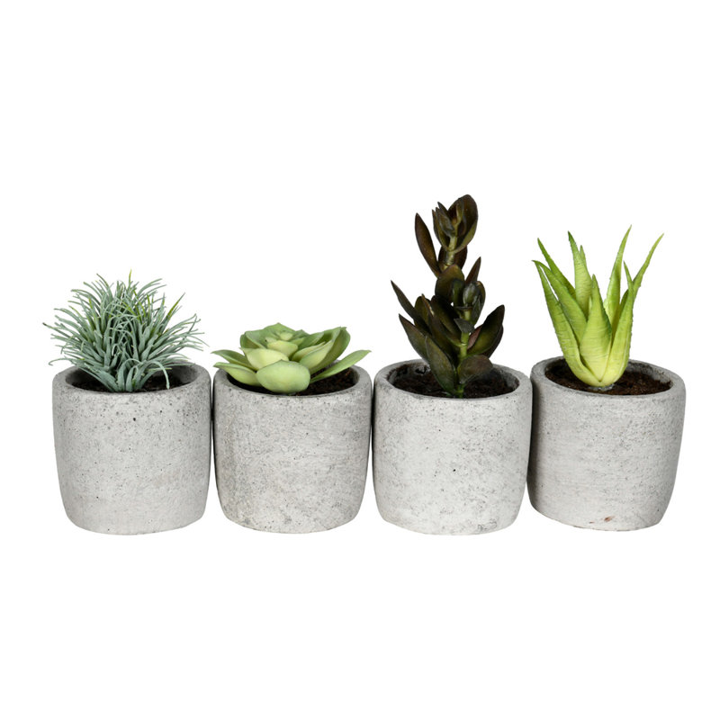 6'' Assorted Faux Succulent Plants in Ceramic Pots, Set of 4
