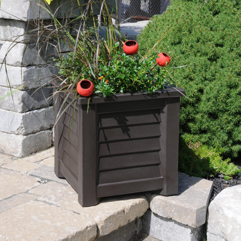 Espresso Square Resin Self-Watering Planter with Sub-Irrigation