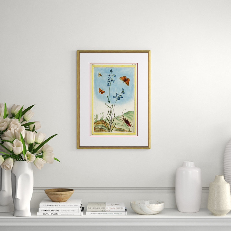Framed Botanical Insect Print with Gold Trim