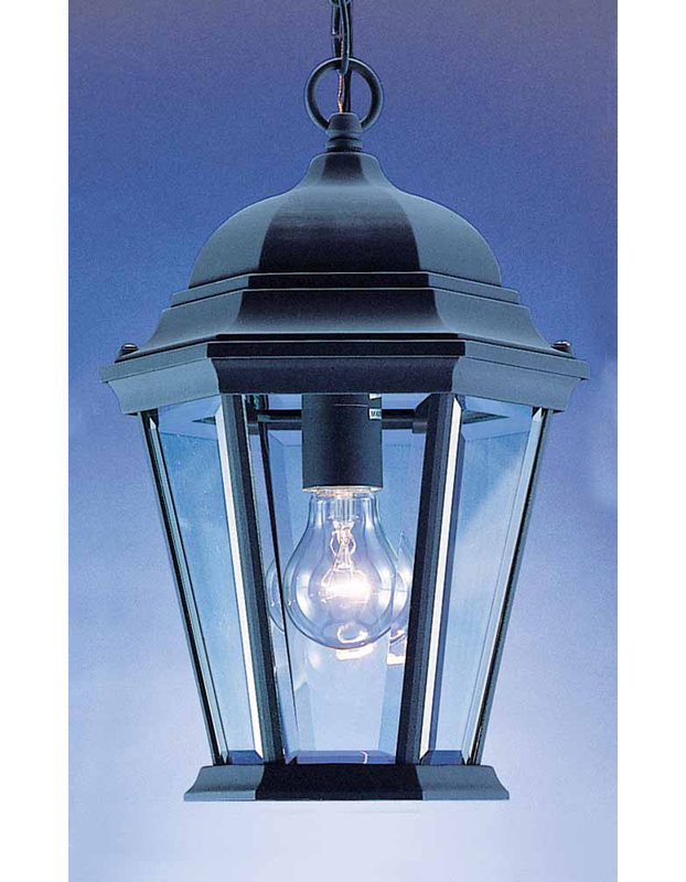 Elida Adjustable Black Metal Outdoor Pendant with Clear Beveled Glass