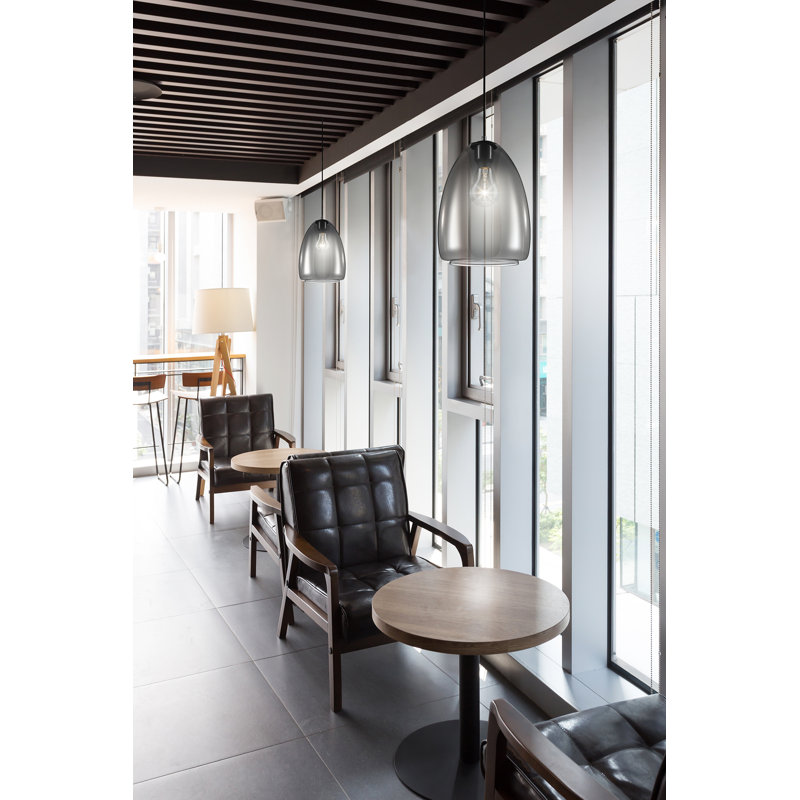 Matte Black Single Light Smoked Glass Pendant