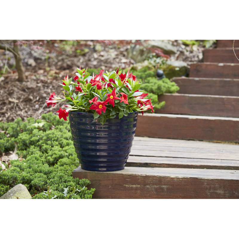 Navy Beehive-Style 16'' Resin Outdoor Planter