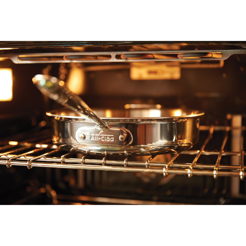 10-Inch Stainless Steel Non-Stick Fry Pan