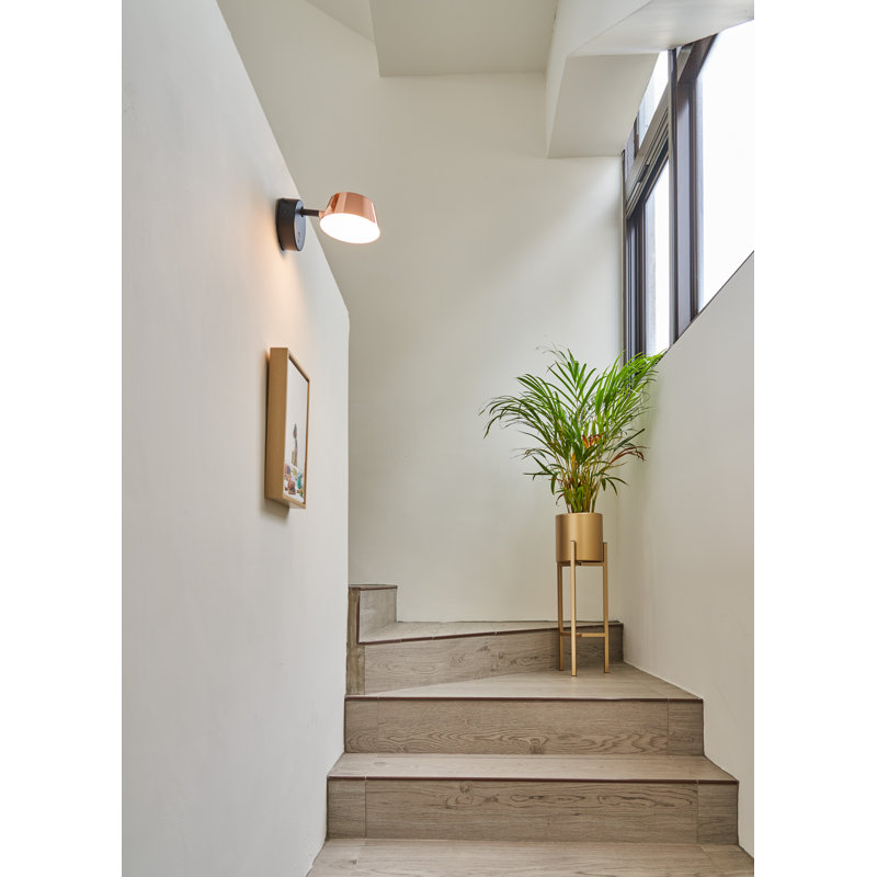 Olo Dimmable LED Wall Sconce in Black and Shiny Copper