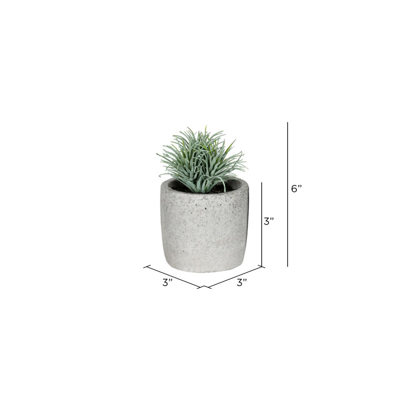 6'' Assorted Faux Succulent Plants in Ceramic Pots, Set of 4