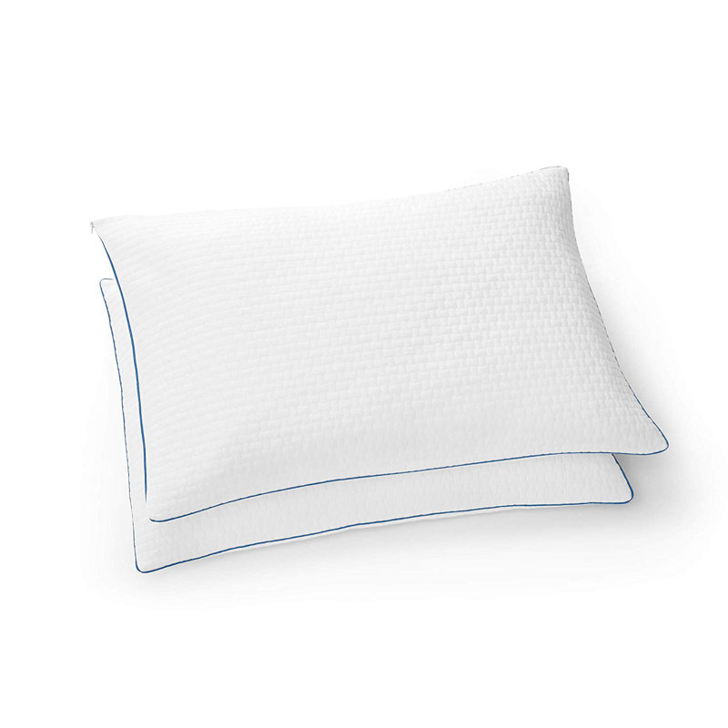 Standard White Gel Memory Foam Pillow Set with Polyester Cover
