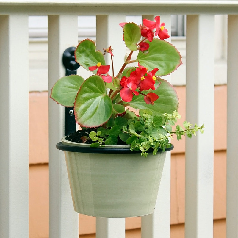 Black Iron Wall Mounted Flower Pot Holder Brackets, Set of 2