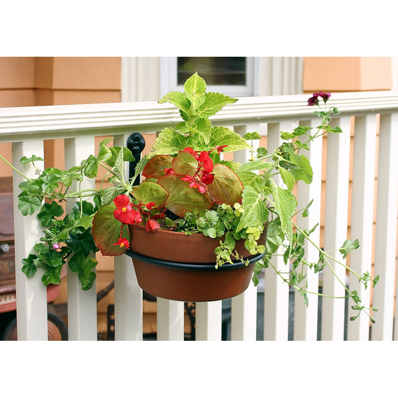 Black Wrought Iron Wall-Mounted Plant Holder Set