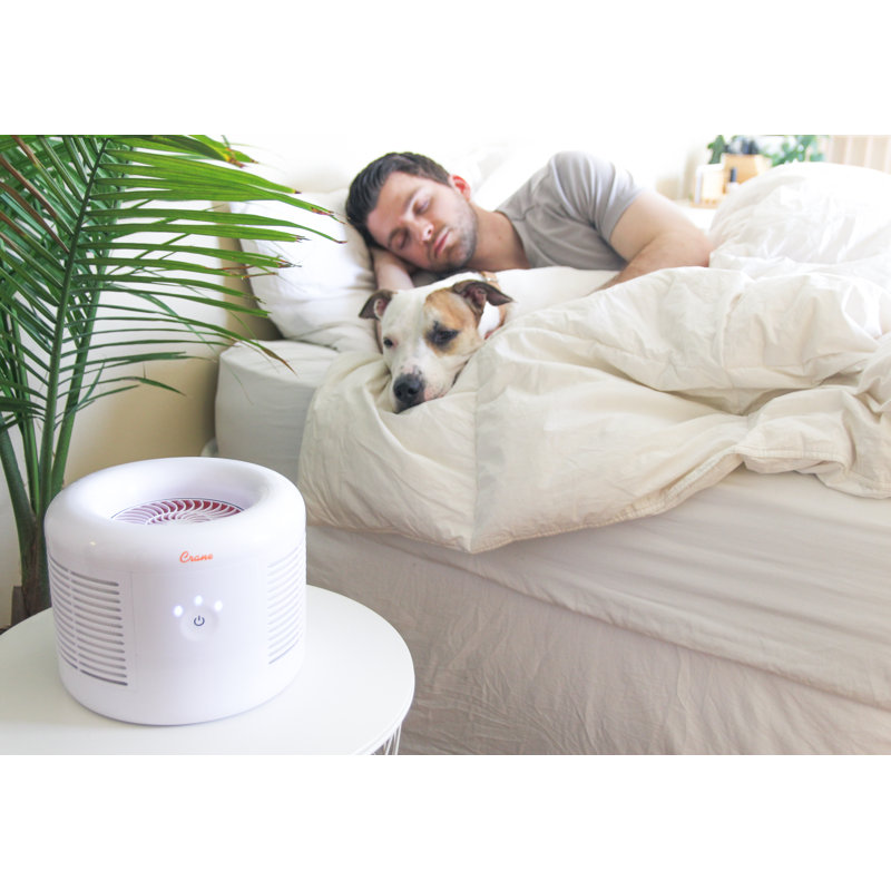 Compact White HEPA Table-Top Air Purifier with Touch Controls