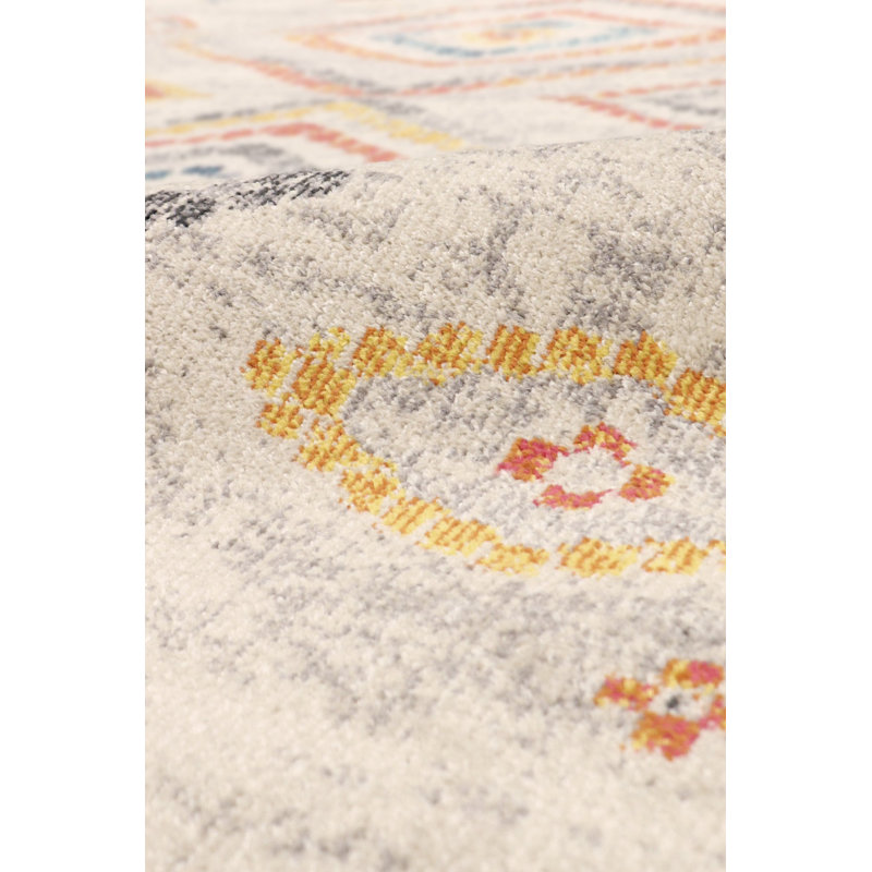 Aldora Southwestern Gray and Multicolor Synthetic Area Rug