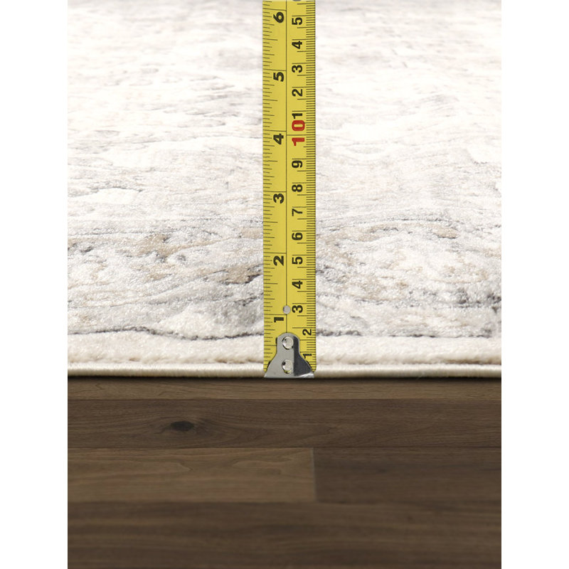 Amadeus Ivory Rectangular Easy-Care Synthetic Area Rug