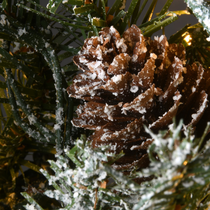 24'' Lighted Artificial Snowy Spruce Christmas Wreath