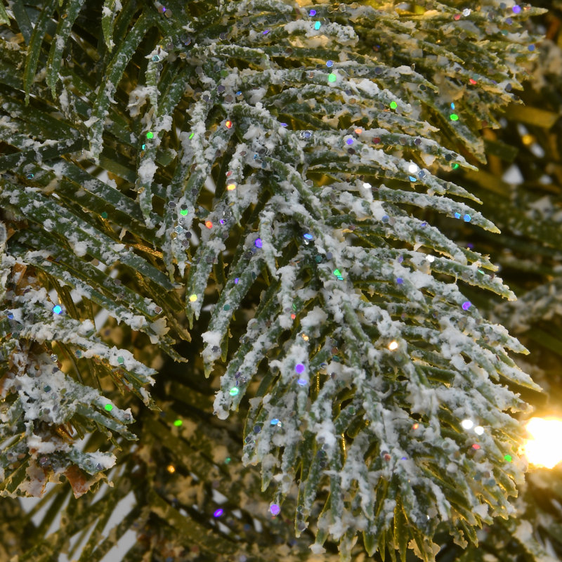 24'' Lighted Artificial Snowy Spruce Christmas Wreath