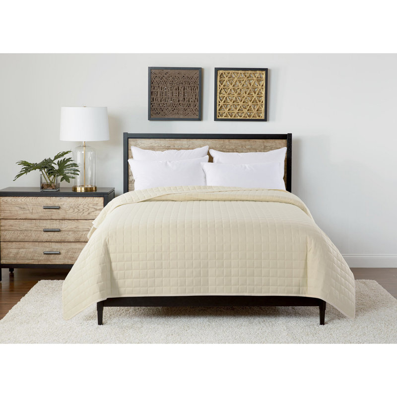 Twin Cream Down Alternative Velvet Trim Blanket