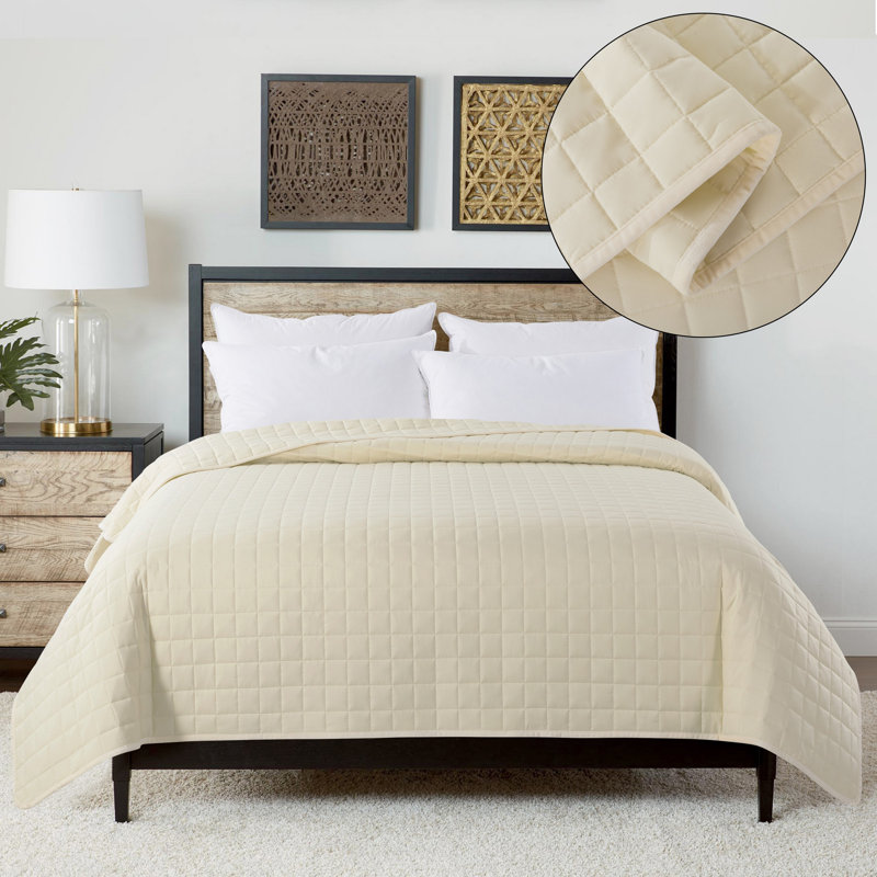 Twin Cream Down Alternative Velvet Trim Blanket