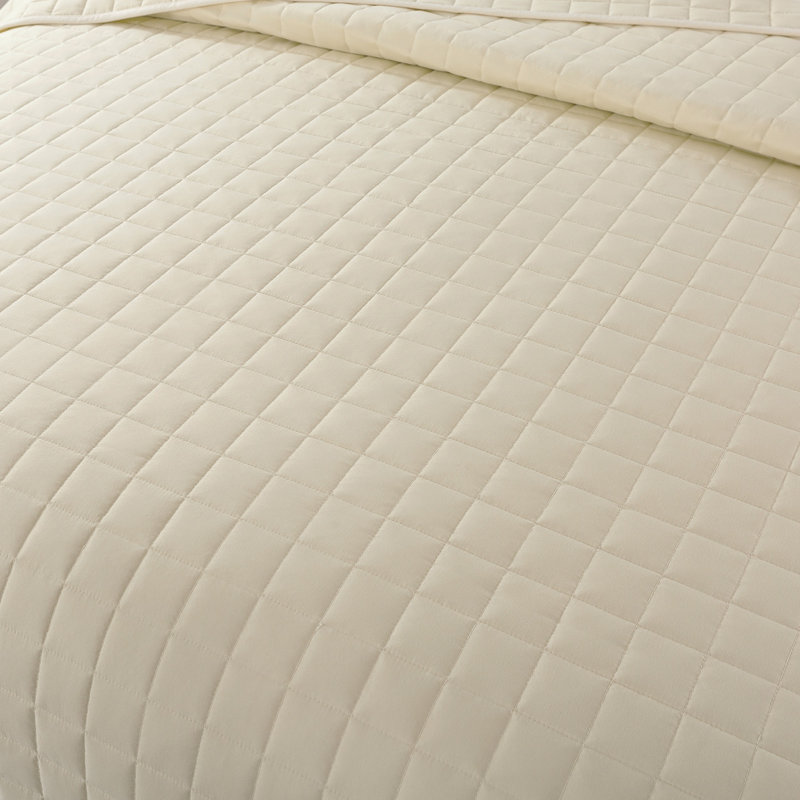 Twin Cream Down Alternative Velvet Trim Blanket