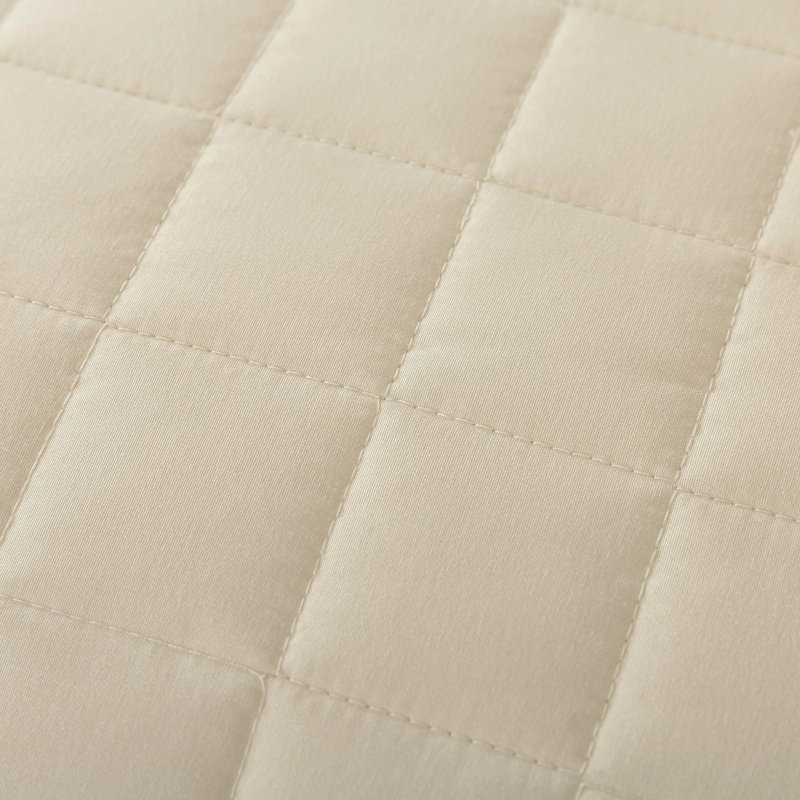Twin Cream Down Alternative Velvet Trim Blanket