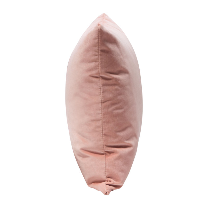 Blush Pink Velvet 16" Square Accent Pillow Set