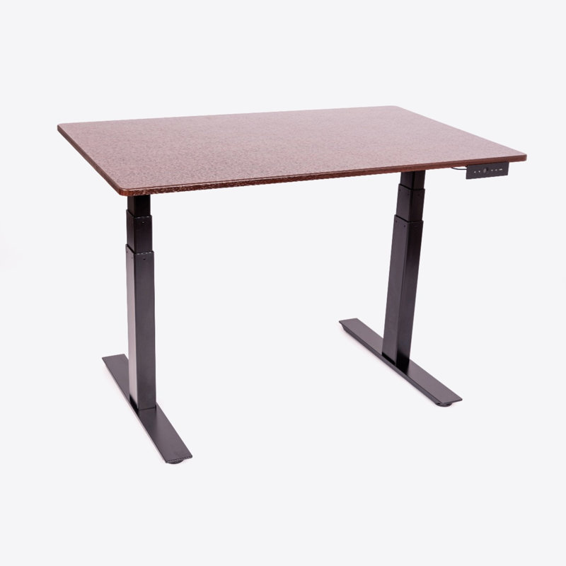 Luxor 60" Dual-Motor Electric Height Adjustable Desk in Dark Walnut