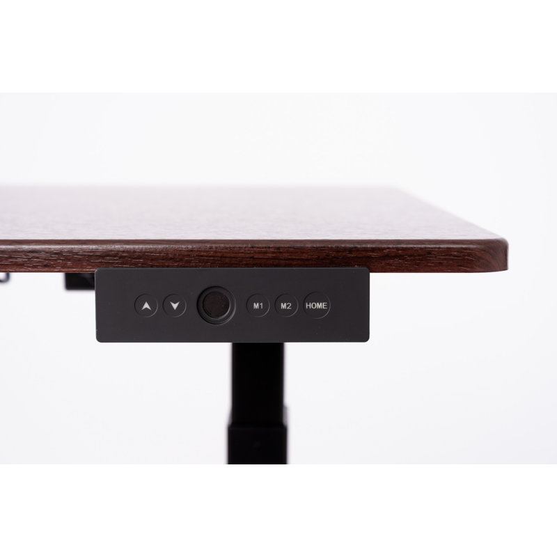 Luxor 60" Dual-Motor Electric Height Adjustable Desk in Dark Walnut