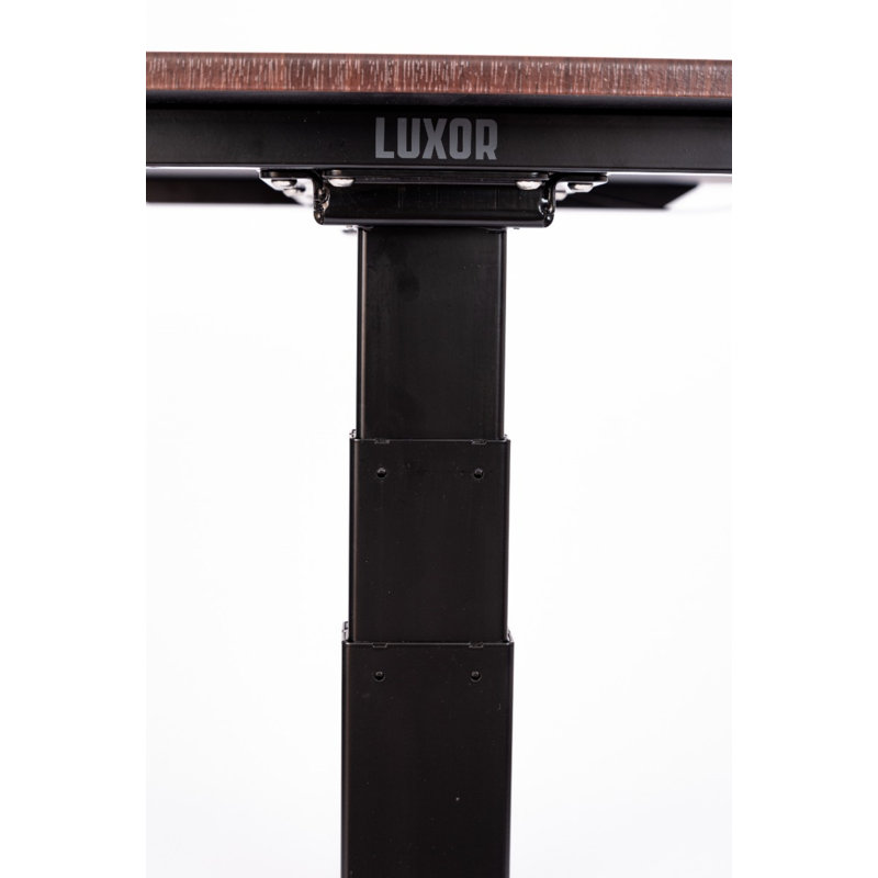 Luxor 60" Dual-Motor Electric Height Adjustable Desk in Dark Walnut