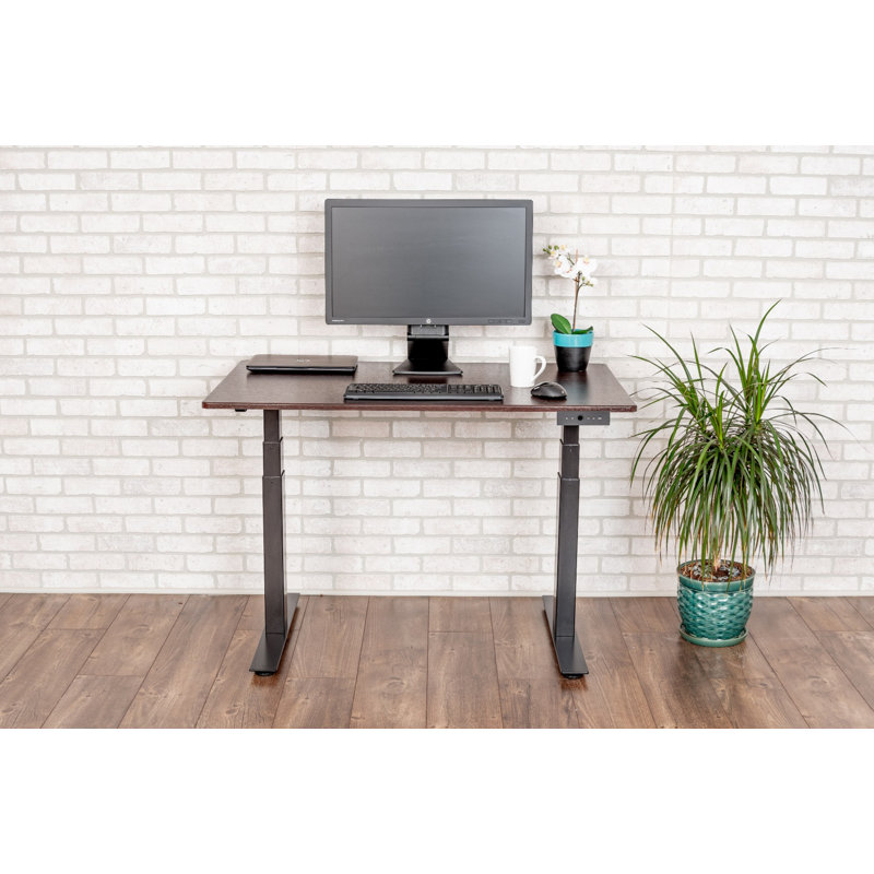 Luxor 60" Dual-Motor Electric Height Adjustable Desk in Dark Walnut