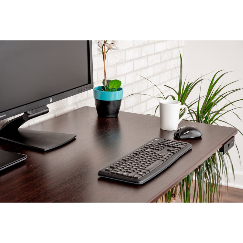Luxor 60" Dual-Motor Electric Height Adjustable Desk in Dark Walnut