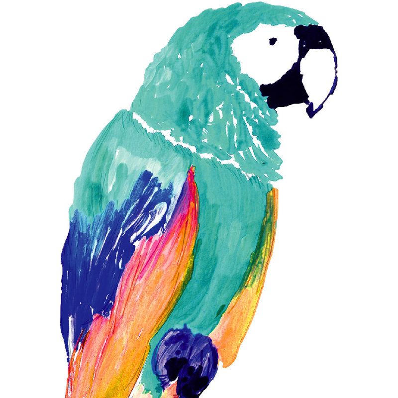 Colorful Tropical Parrot Peel and Stick Wall Decal Set