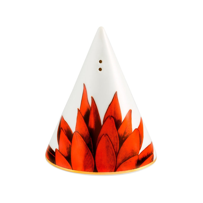 Amazonia Porcelain Contemporary Salt and Pepper Shaker Set
