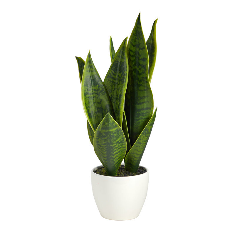 16'' Green Artificial Snake Plant in White Planter