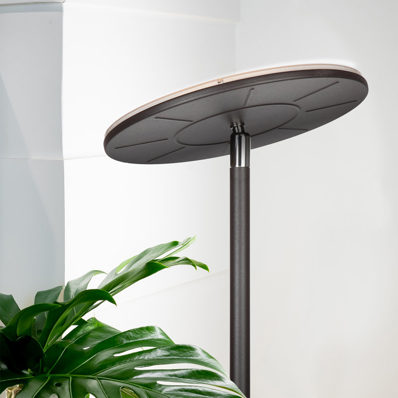 Bronze Torchiere 63" LED Floor Lamp with Energy Star
