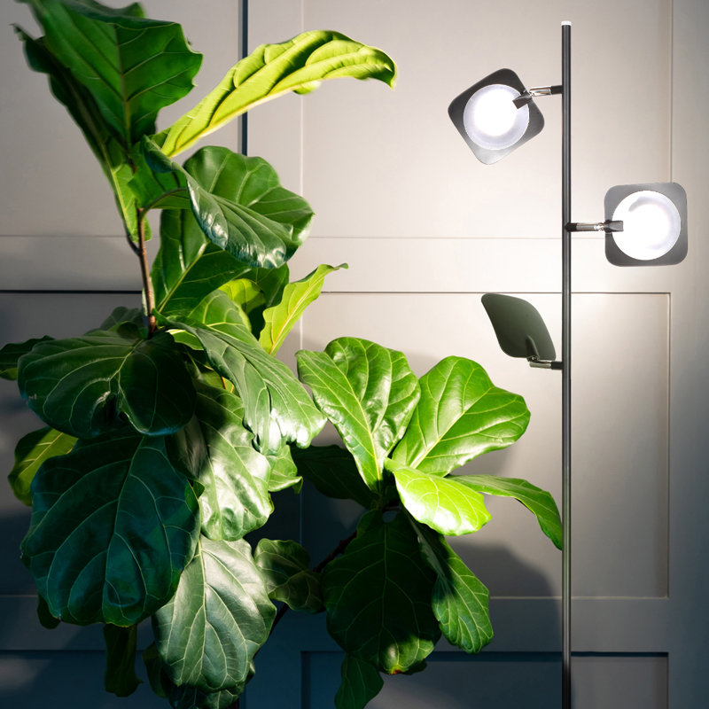 Black Adjustable Multi-Head LED Floor Lamp with 3-Way Switch