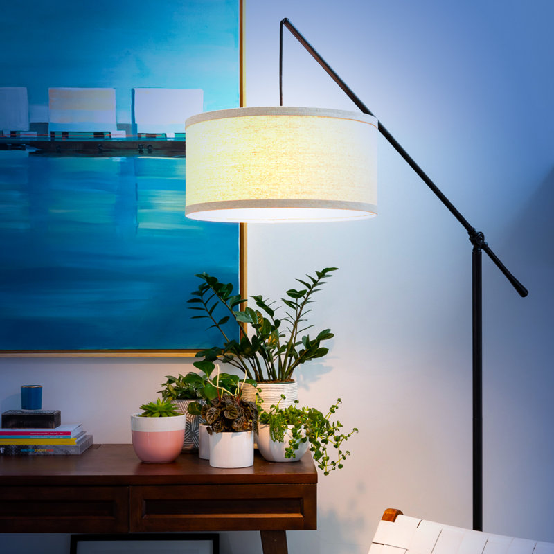 Hudson Kids' Adjustable Black Arc LED Floor Lamp, 70" Height