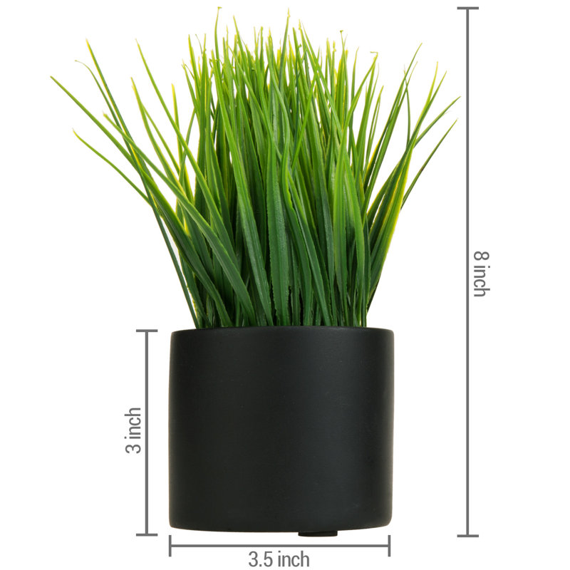 7.87'' Faux Grass in Black Cylindrical Cement Pots, Set of 2