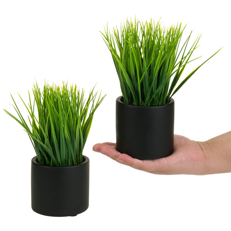 7.87'' Faux Grass in Black Cylindrical Cement Pots, Set of 2