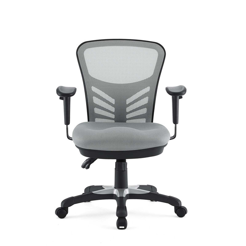 ErgoFlex Gray Mesh & Vinyl Adjustable Office Chair with Swivel
