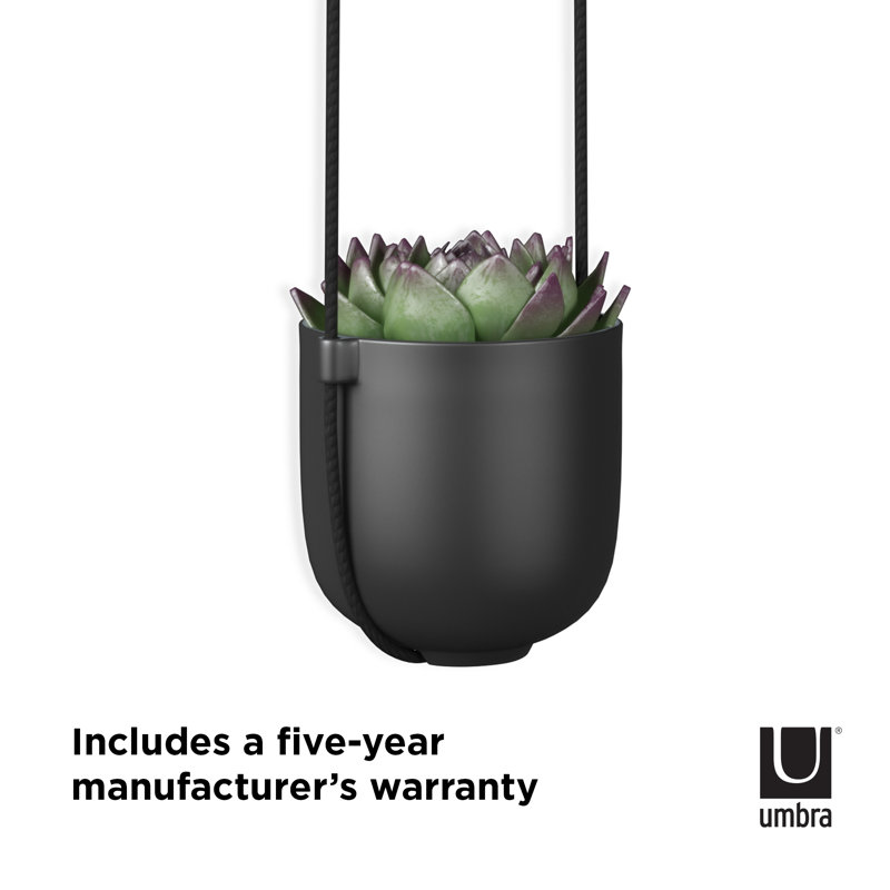 Bolo Soft Curve Black Ceramic Indoor/Outdoor Hanging Planter