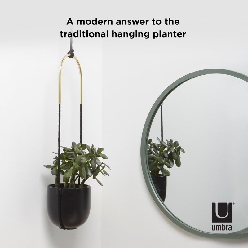 Bolo Soft Curve Black Ceramic Indoor/Outdoor Hanging Planter