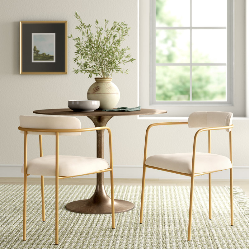 Beige Velvet and Gold Metal Transitional Side Chair