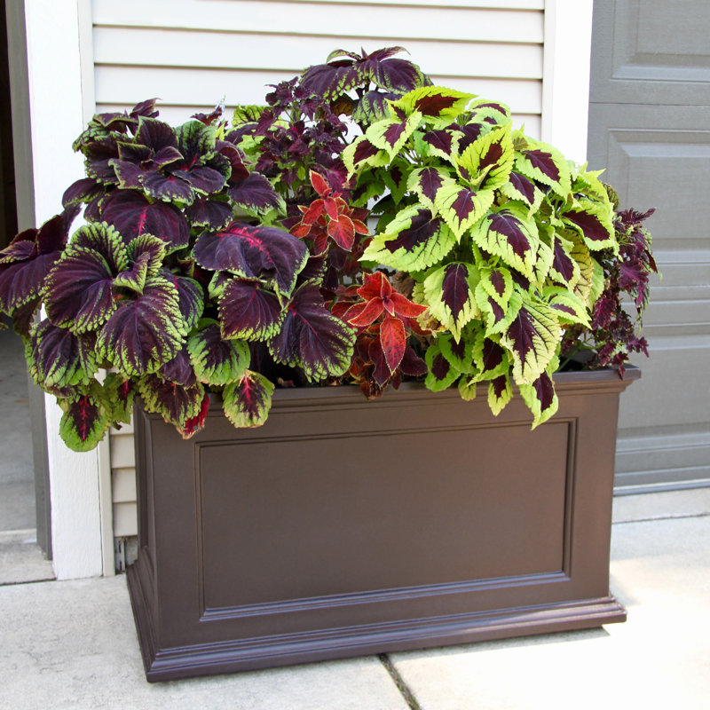 Fairfield Espresso 20"x36" Self-Watering Polyethylene Outdoor Planter