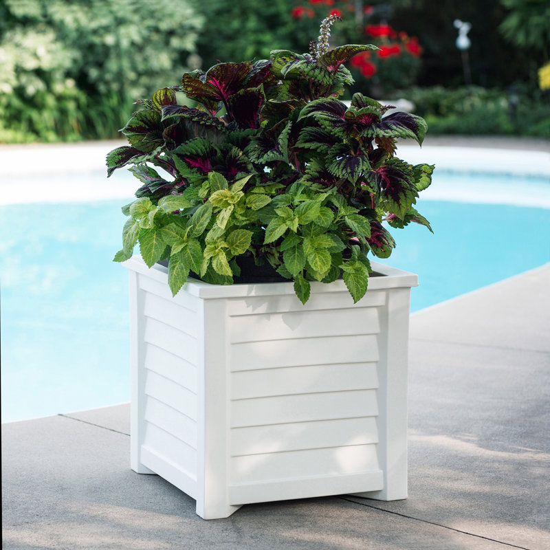 Lakeland White Resin Square Planter with Water Reservoir