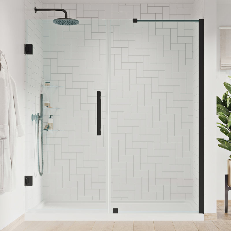 Tampa-Pro 60" Black Frameless Alcove Shower Kit with Shelves