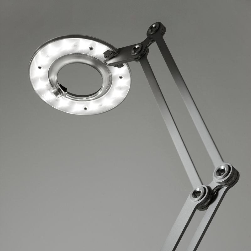 Edison Adjustable Black Small LED Task Floor Lamp